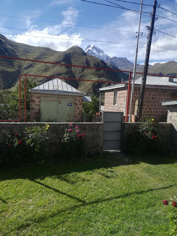 Guest House Lela Rezo Kazbegi Exterior foto